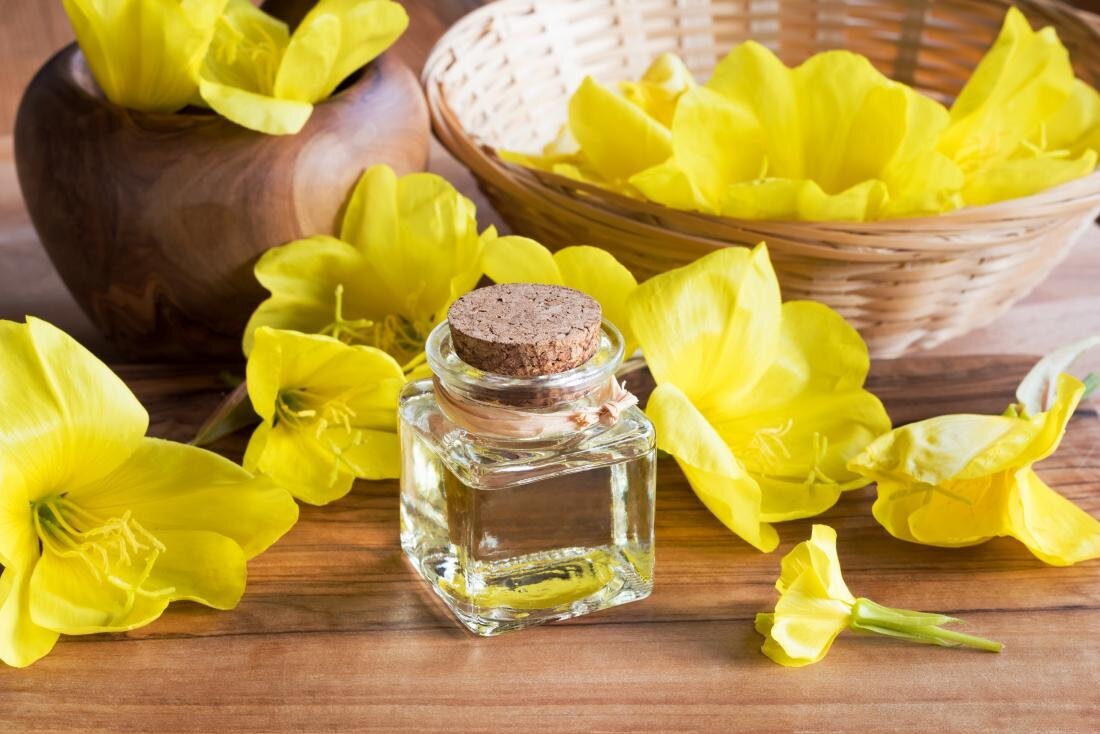 فواید روغن گل مغربی چیست؟